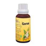 Thumbnail for Bio India Homeopathy Bach Flower Gorse Dilution