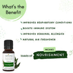 Thumbnail for Mystiq Living Originals Eucalyptus Essential Oil - Distacart