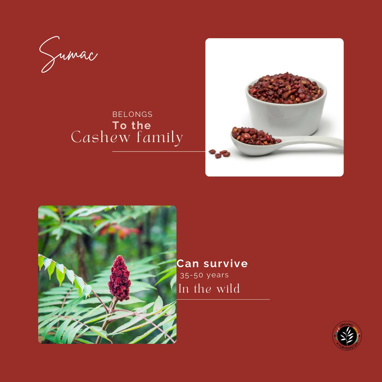 Organic Ayurvedistan Sumac Powder - Distacart