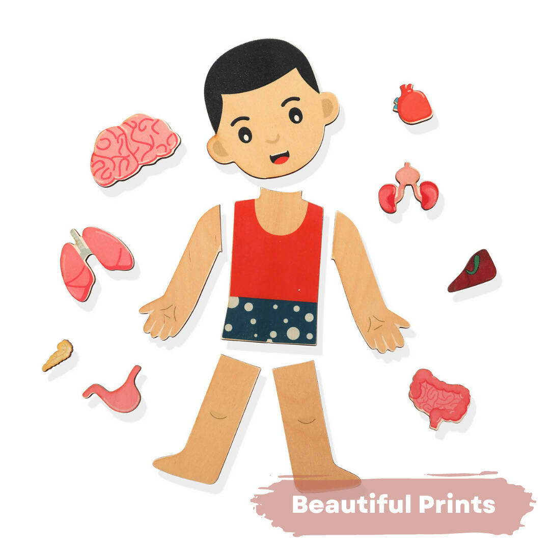 Nesta Toys Human Body | Internal Organs Wooden Puzzle - Distacart