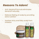 Thumbnail for Mother Sparsh Ginger & Neem Anti-Dandruff Kit For Dandruff & Itchy Scalp