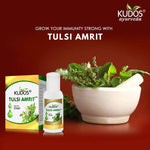 Thumbnail for Kudos Ayurveda Tulsi Amrit