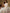 Sangria Embroidered Net Sarees - Distacart