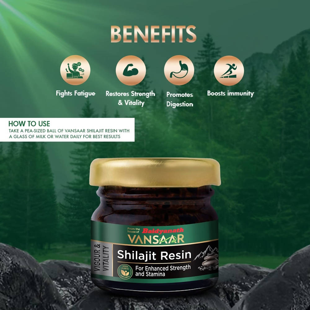 Baidyanath Vansaar Shilajit Resin