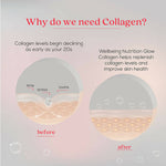 Thumbnail for Wellbeing Nutrition Glow Korean Marine Collagen Peptides-Tropical Bliss Flavor - Distacart