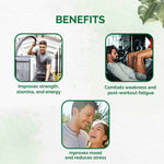 Thumbnail for Dr. Vaidya's SJ Plus Capsules - Distacart