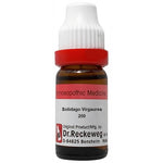 Thumbnail for Dr. Reckeweg Solidago Virgaurea Dilution - Distacart