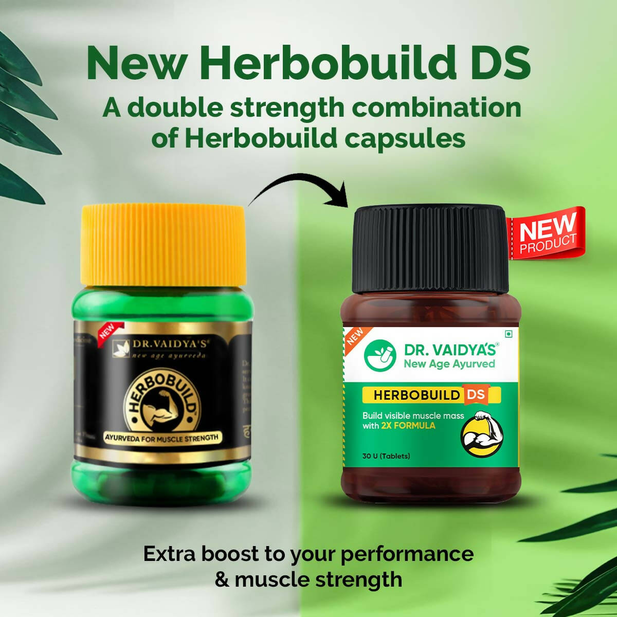 Dr. Vaidya's Herbobuild DS (Double Strength) Tablets - Distacart