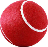 Thumbnail for MPRT Wooden Cricket kit (Size 2) - Distacart