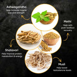 Thumbnail for Dr. Vaidya's Herbobuild Capsules - Distacart