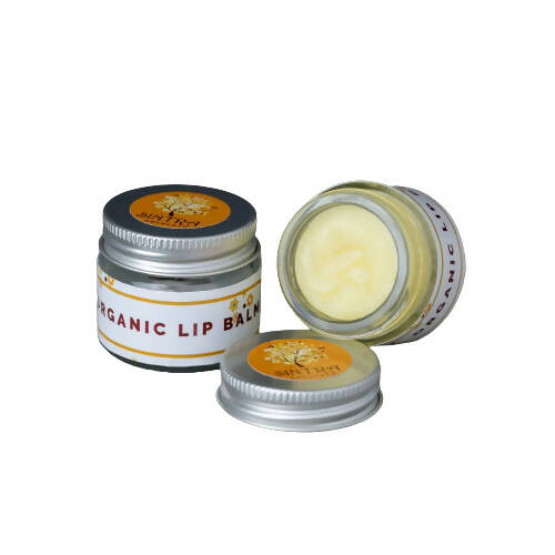 Sintra Naturals Organic Vegan Lip Balm - Distacart