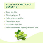 Thumbnail for Vitro Naturals Healthy Amla Juice - Distacart