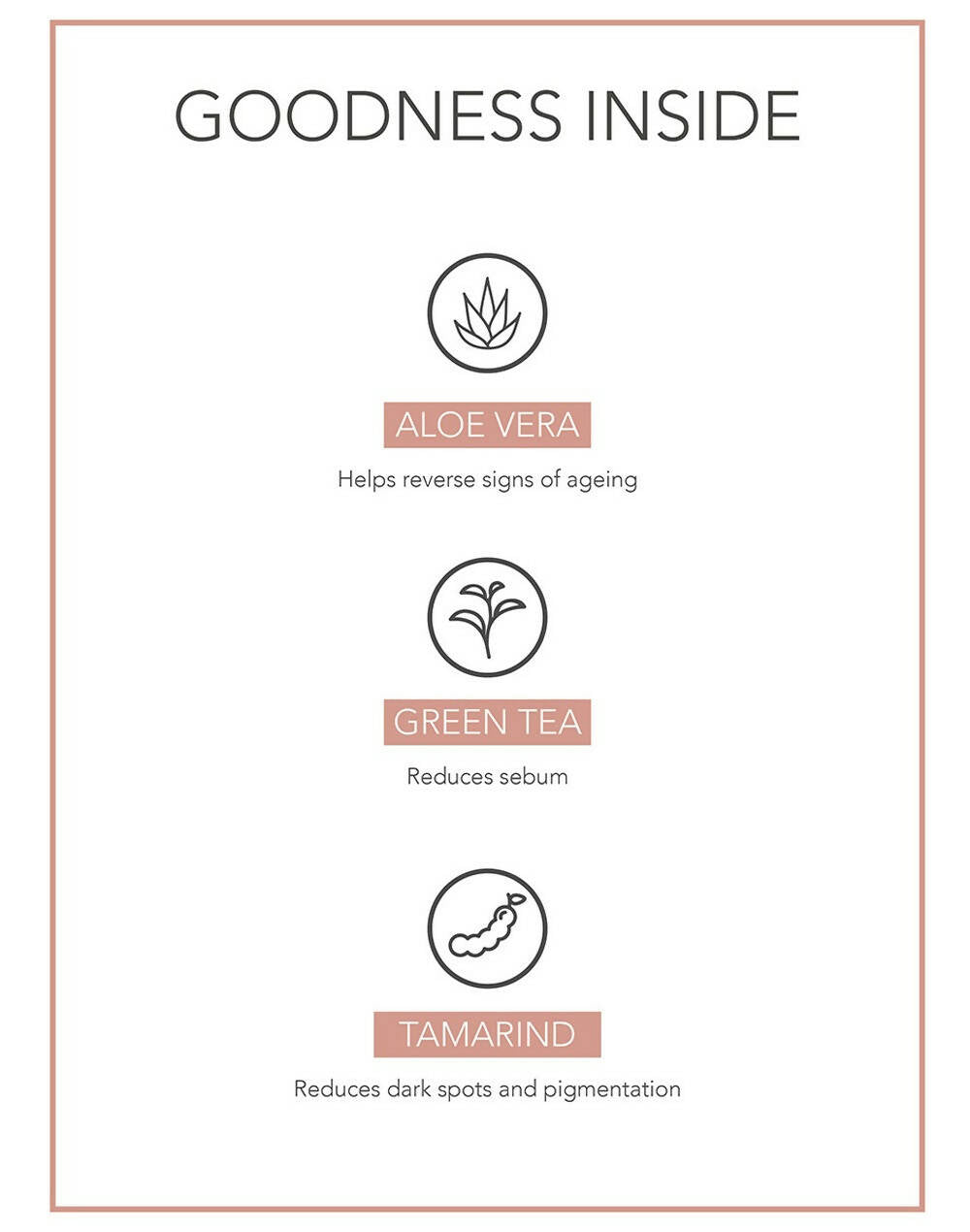 Fabessentials Aloe Vera Camellia Leaves Face Scrub - Distacart