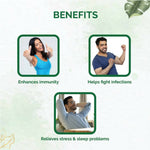 Thumbnail for Dr. Vaidya's Ashwagandha Capsules - Distacart