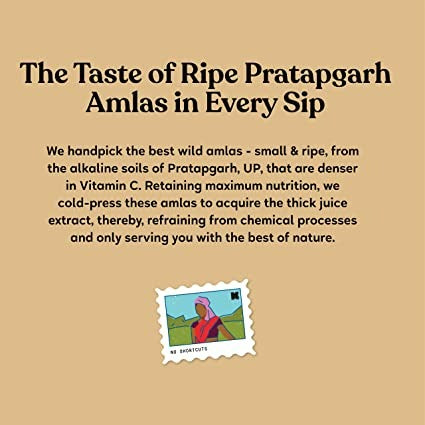 Kapiva Ayurveda Wild Amla Juice - Distacart