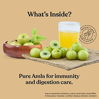 Thumbnail for Kapiva Ayurveda Wild Amla Juice - Distacart