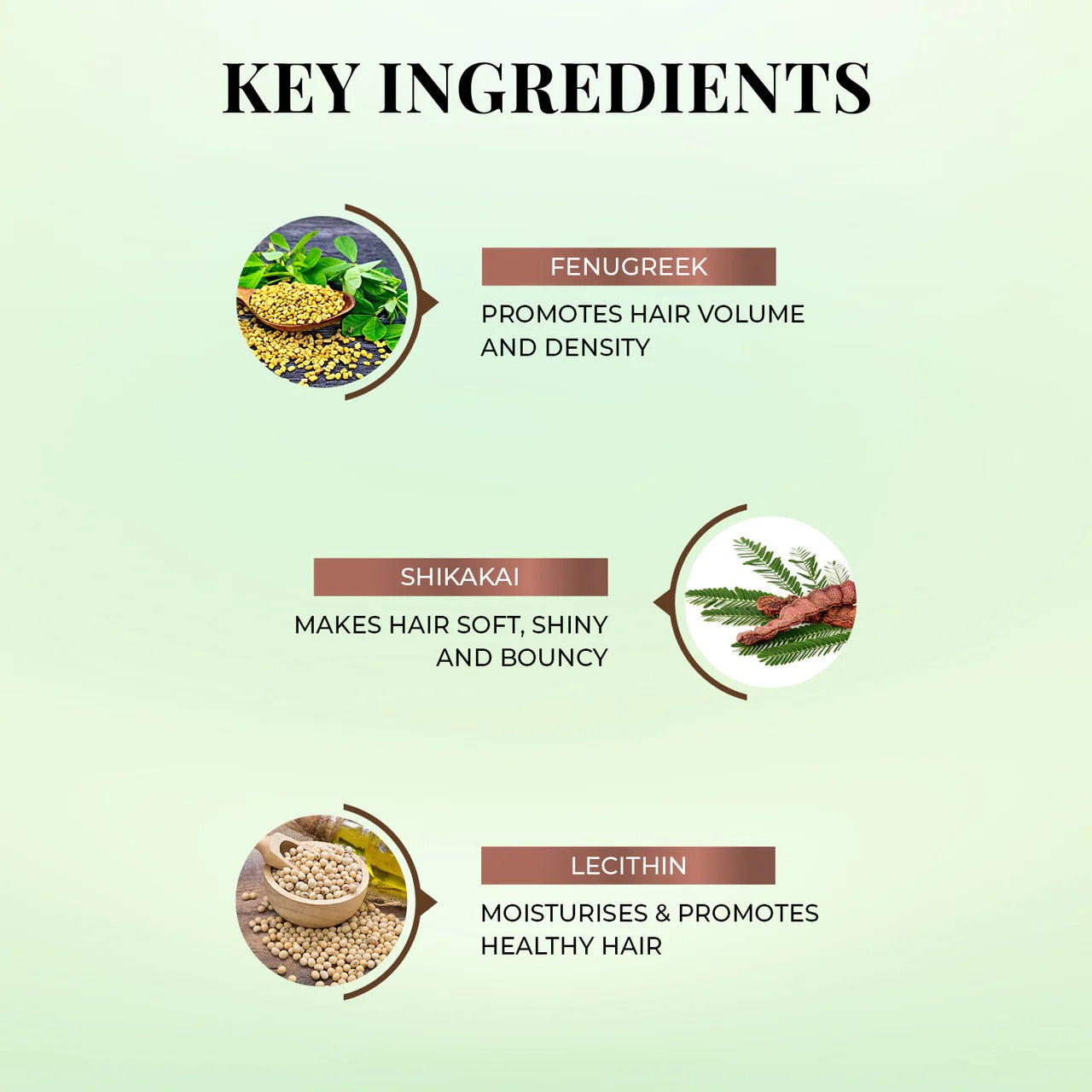 Just Herbs Lush Methi-Shikakai Shampoo - Distacart