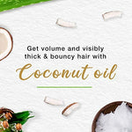 Thumbnail for Himalaya Herbals - Protein Hair Cream - Distacart