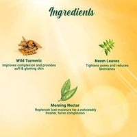 Thumbnail for Biotique Advanced Ayurveda Bio Morning Nectar Visibly Flawless Sun Protector 30+SPF UVA/UVB Sunscreen - Distacart