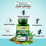 Thumbnail for Himalayan Organics Plant Based Joint Support Vegetarian Capsules - Distacart
