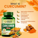 Thumbnail for Himalayan Organics Curcumin Tablets - Distacart