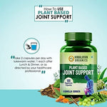 Thumbnail for Himalayan Organics Plant Based Joint Support Vegetarian Capsules - Distacart