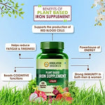Thumbnail for Himalayan Organics Plant Based Iron Supplement + Folate Vegetarian Capsules - Distacart