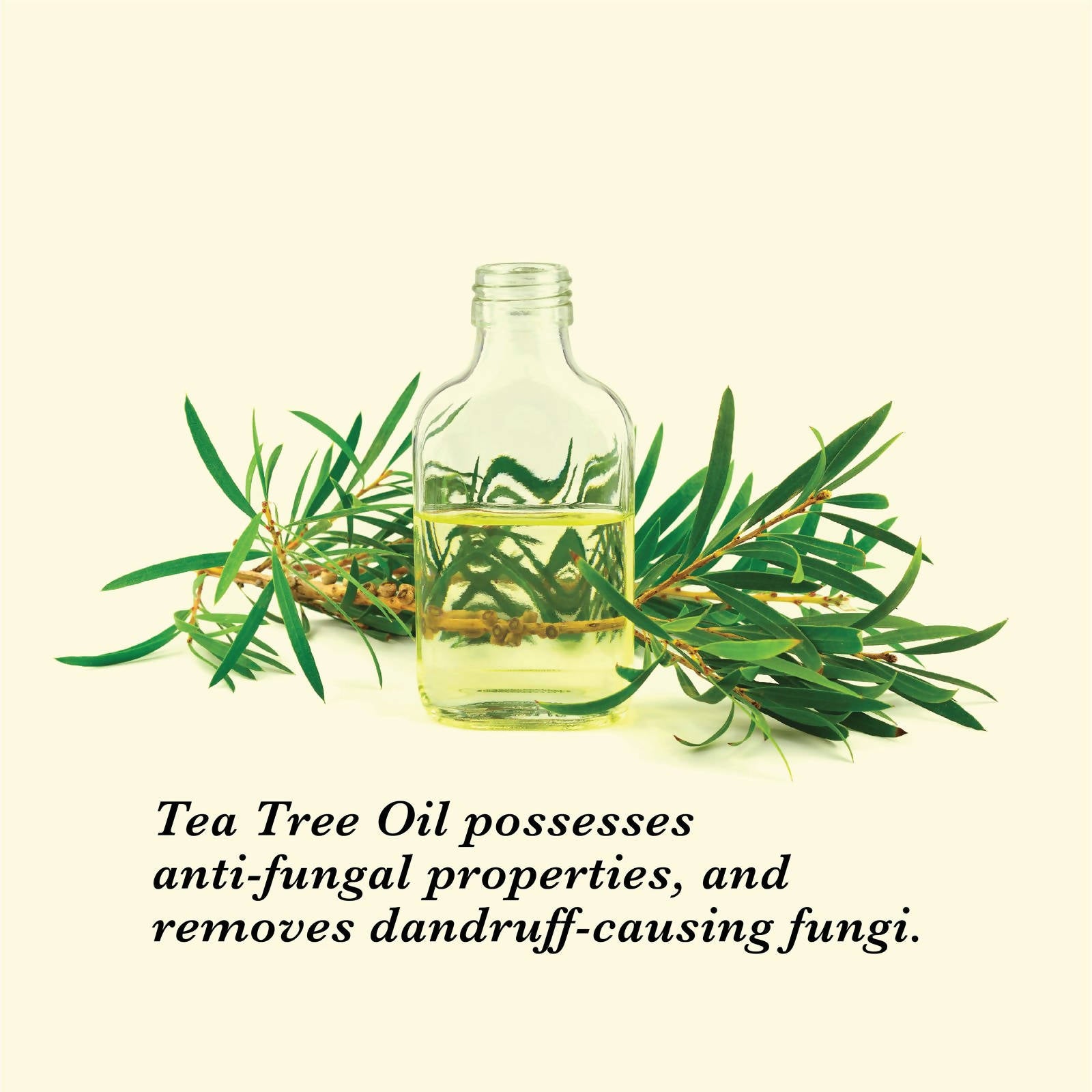 True Frog Anti Dandruff Shampoo - Distacart