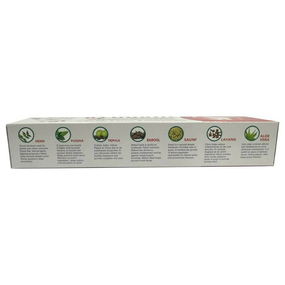 Baidyanath Jhansi Ayurvedant Ayudant Toothpaste - Distacart