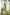 Green Rayon Sequence Embroidery work Straight kurta with Pant & Dupatta - Akashara - Distacart
