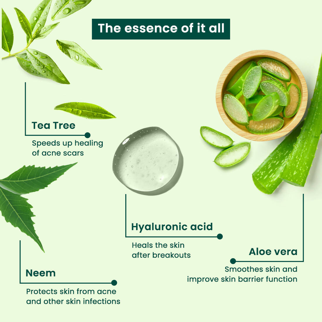 Vasu Botanicals Tea Tree Face Serum - Distacart