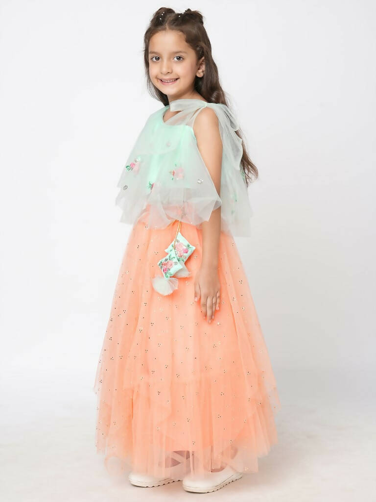 Lil Drama Girls Choli With Ghaghra Set - Peach - Distacart
