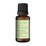 Thumbnail for Korus Essential Basil Essential Oil - Therapeutic Grade - Distacart