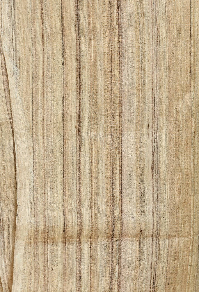 Mominos Fashion Moeza Pure Ghichcha Silk Tussar Golden Color Saree