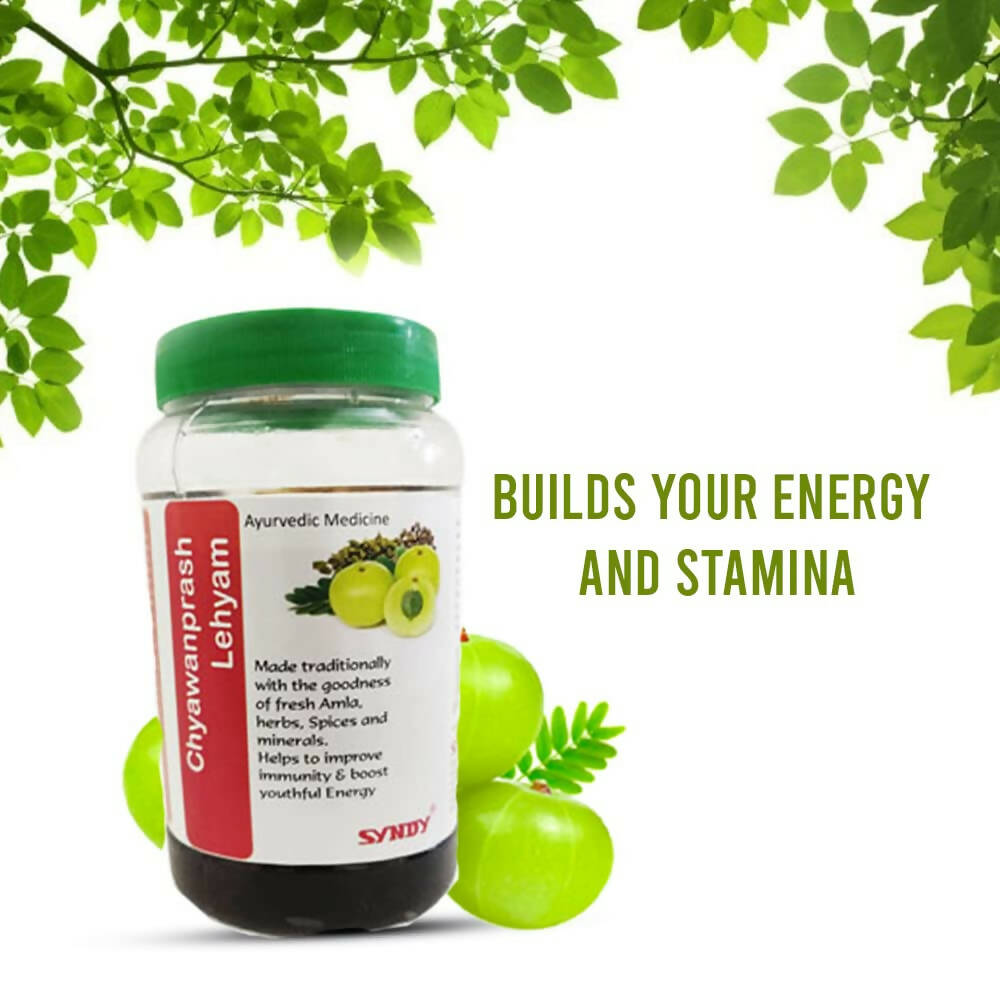 Syndy Pharma Chyawanaprash Lehyam - Distacart
