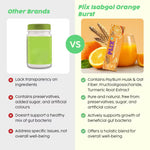 Thumbnail for PLIX The Plant Fix Isabgol Orange Burst with Oat Fiber - Distacart