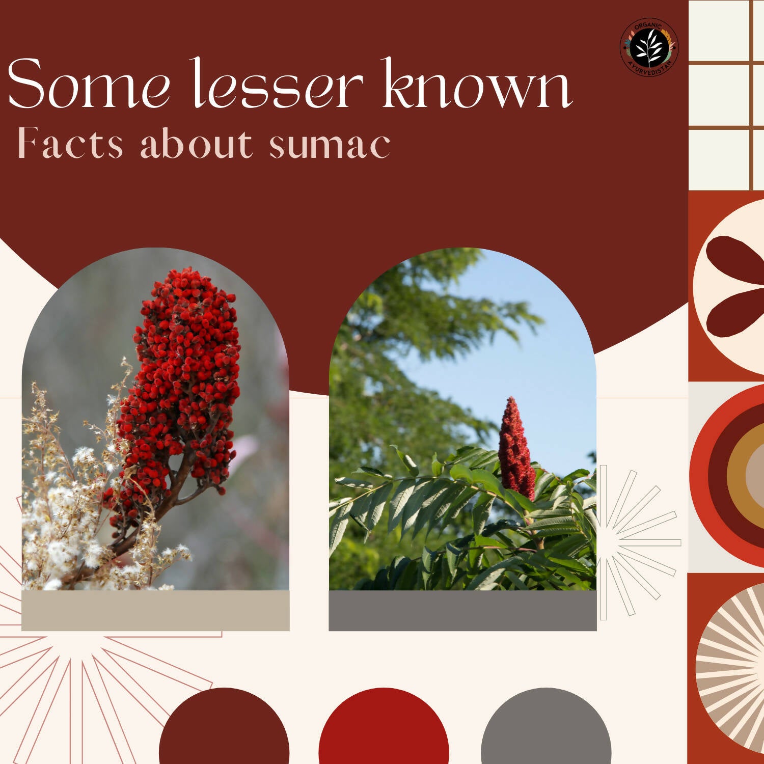 Organic Ayurvedistan Sumac Powder - Distacart