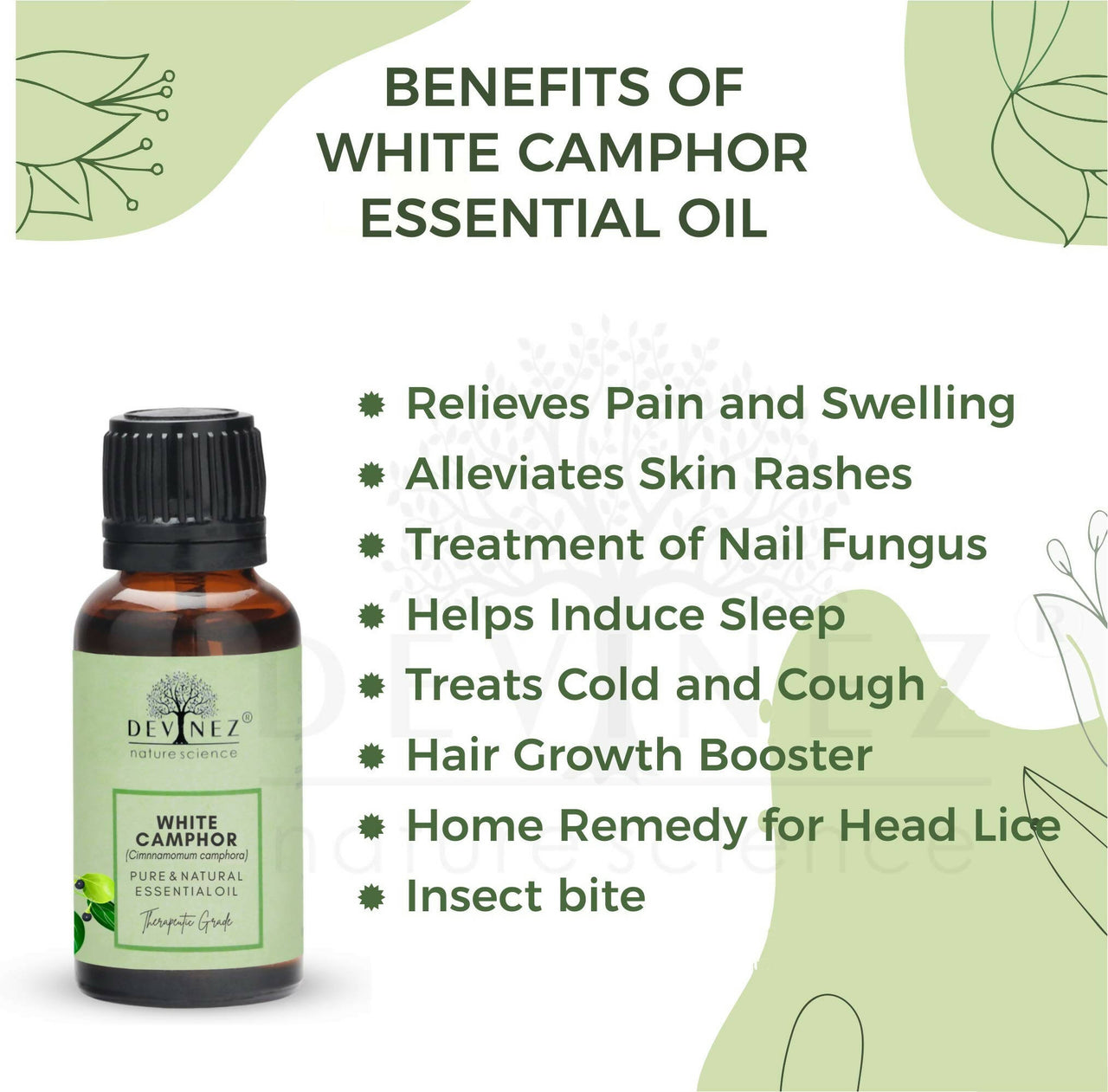 Devinez White Camphor Essential Oil - Distacart