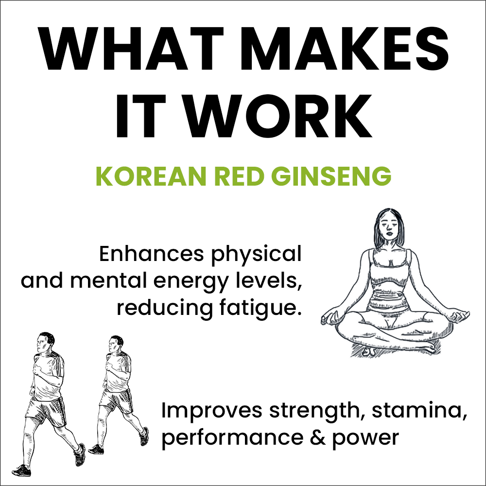 Sprowt Korean Red Ginseng Capsules - Distacart