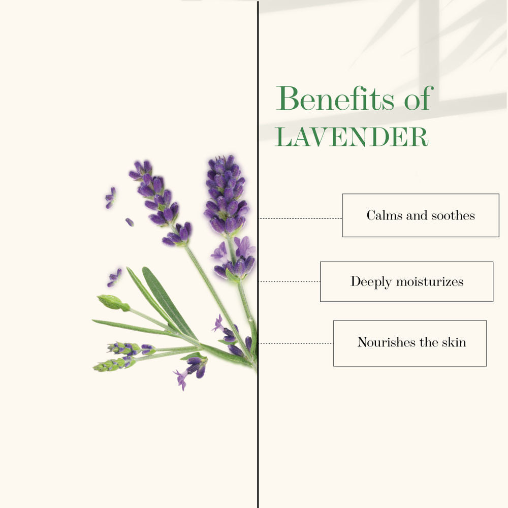 Good Vibes Nourishing Foot Cream - Lavender