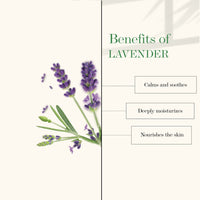Thumbnail for Good Vibes Nourishing Foot Cream - Lavender