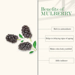 Thumbnail for Good Vibes Mulberry Glow Toner