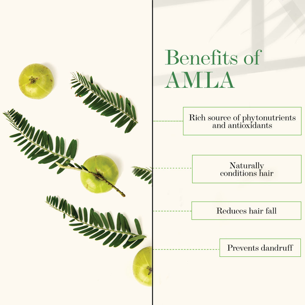 Good Vibes Amla Shikakai Strengthening Shampoo