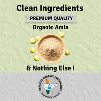 Thumbnail for Jus Amazin Amla Powder Superfood - Distacart