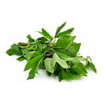 Thumbnail for Madhur Pure Andhra Gongura Pickle - 1 kg