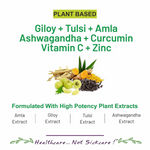Thumbnail for Bliss Welness Giloy Tulsi Amla Ashwagandha Curcumin Tablets - Distacart