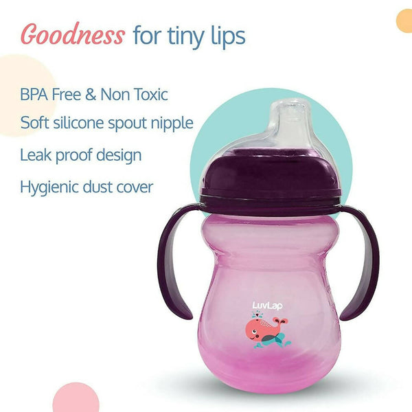 LuvLap Moby Little Spout Sipper for 6m+ (Purple) - Distacart