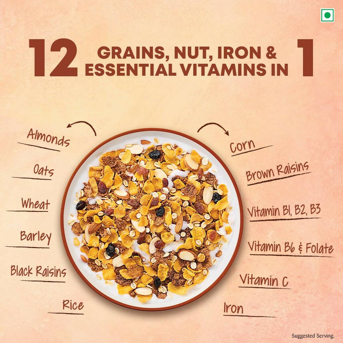 Kellogg's Muesli Nuts Delight - Distacart