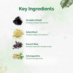 Thumbnail for Dr. Vaidya's SJ Plus Capsules - Distacart