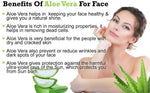 Thumbnail for Online Quality Store Natural Aloe Vera Gel Green - Distacart